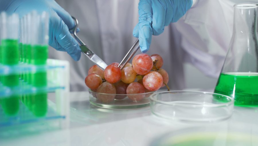 Veda a pestovanie ovocia. Zdroj: iStock.com/Evgenyi_Eg