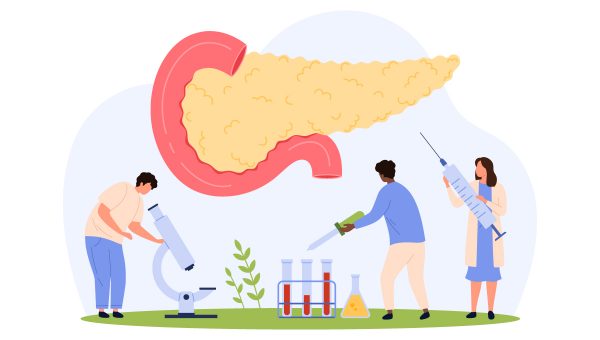 Pankreas a cukrovka. Zdroj: iStock.com/Iconic Prototype