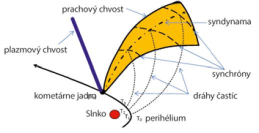 Vznik syndynám a synchrón v prachovom chvoste kométy