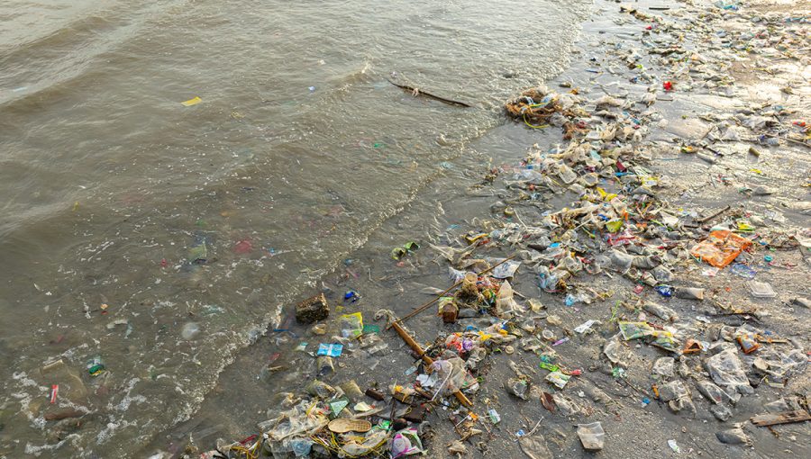 Znečistené pobrežie. Zdroj: iStock.com/Ake Ngiamsanguan