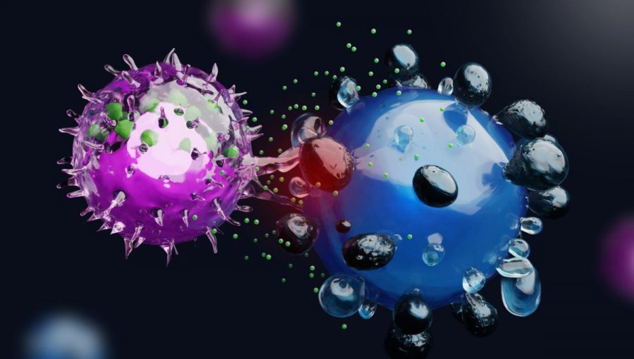 Prirodzená zabijácka NK bunka útočiaca na rakovinovú bunku. Zdroj: iStock/Meletios Verras