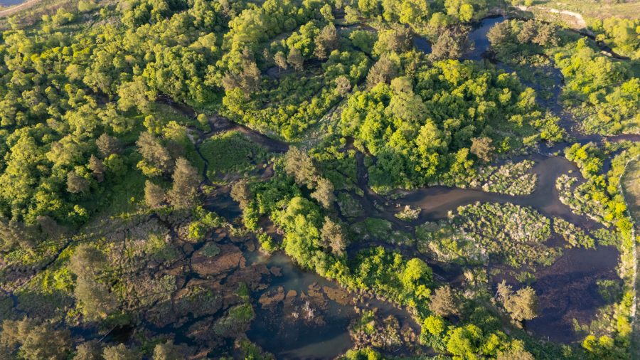 Mokrade pokrývajú len 1% povrchu Zeme, ale uskladňujú až 20% organického uhlíka. Zdroj: Archív - Ondrej Kameniar