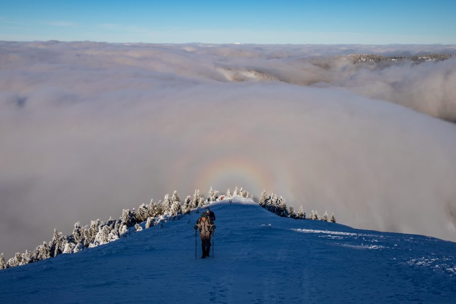 Pred tým ako človek výrazným spôsobom začal zasahovať do krajiny, pokrývali rôzne typy lesov v našich zemepisných šírkach väčšinu územia. Zdroj: Archív - Ondrej Kameniar