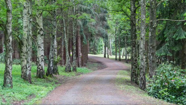 Jeseň v Arboréte Borová hora