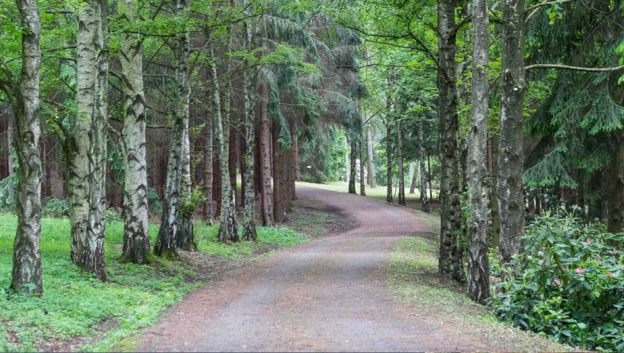 Jeseň v Arboréte Borová hora