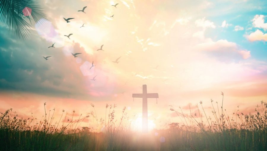 Príroda počas smútenia pôsobí ako balzam na dušu. Zdroj: iStock/ Boonyachoat