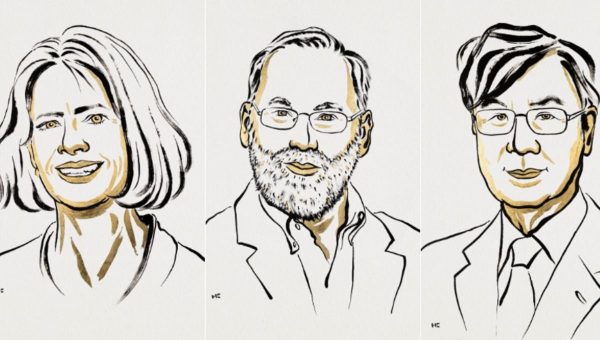 Mary E. Brunkowová, Fred Ramsdell a Shimon Sakaguchi získali Nobelovu cenu za fyziológiu alebo medicínu za rok 2025. Zdroj: Nobel Prize