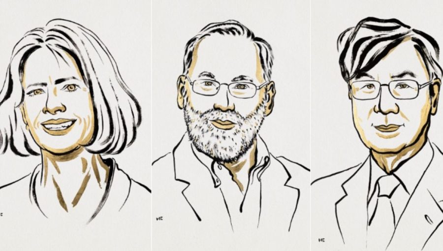 Mary E. Brunkowová, Fred Ramsdell a Shimon Sakaguchi získali Nobelovu cenu za fyziológiu alebo medicínu za rok 2025. Zdroj: Nobel Prize