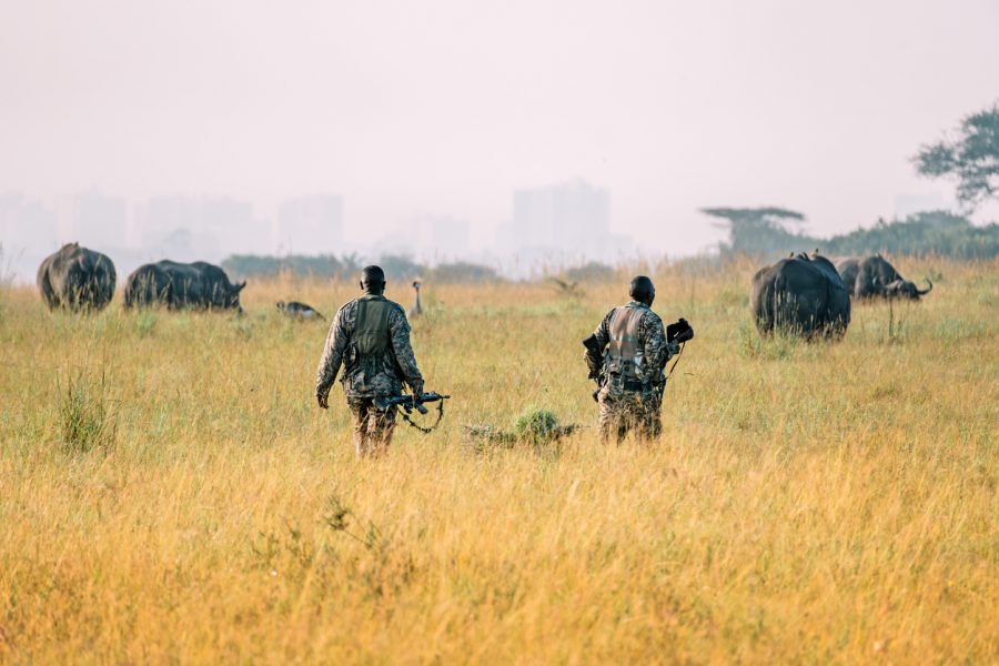 Ochráncovia nosorozcov. Zdroj: iStock/Diy13