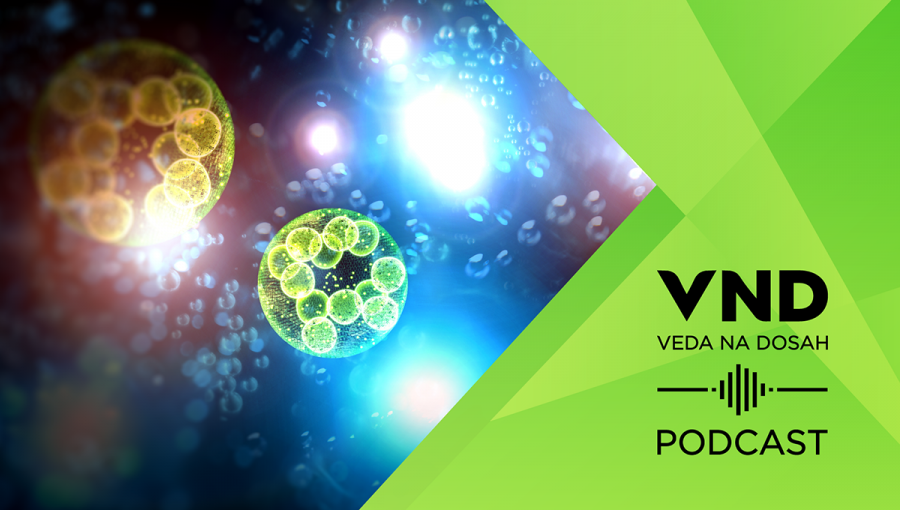 PODCAST: Alžbeta Marček Chorvátová: Laser a živý organizmus.