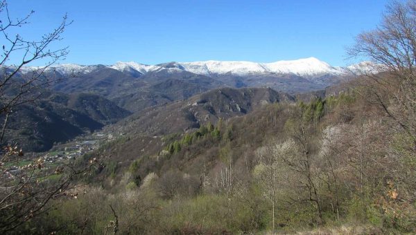 Vzorky boli odobraté z masívu Dora-Maira v Západných Alpách.