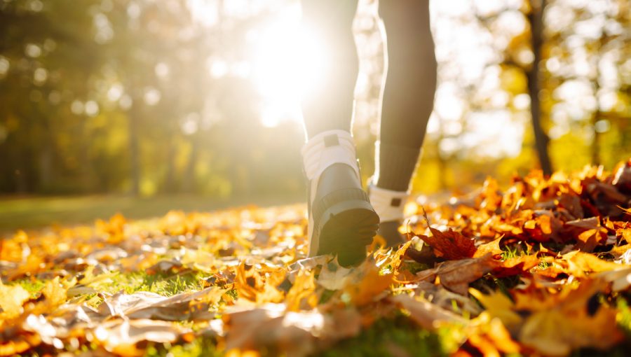 Prechádzka jesenným lesom. Zdroj: iStock.com/Maksym Belchenko