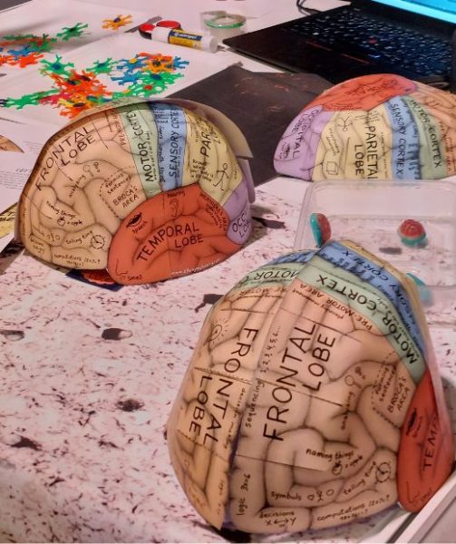 Na stánku mali pripravené aj takéto modely mozgu z papiera, ktoré si mohli poskladať aj návštevníci.