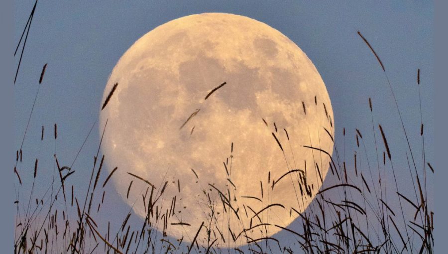 Októbrový spln pripadá tento rok na takzvaný Žatevný spln. Označenie sa používa pre spln, ktorý nastáva najbližšie k jesennej rovnodennosti. Ilustračný obrázok.