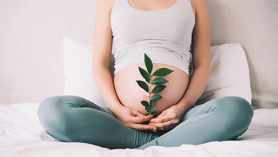 Tehotná žena drží rastlinu. Zdroj: iStock.com/NataliaDeriabina