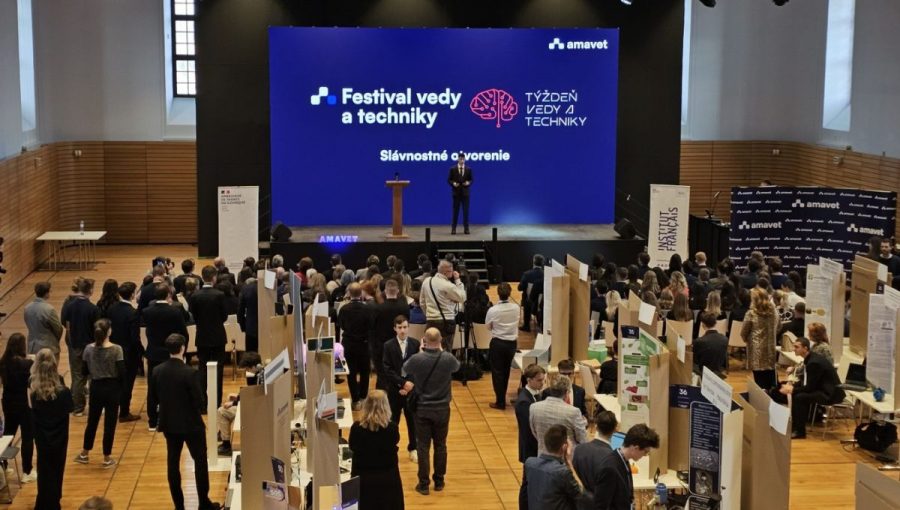 Festival AMAVET 2025.