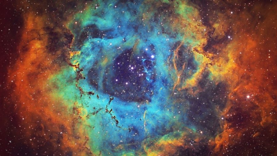 Hmlovina. Zdroj: iStockphotos.com. Autor: dzika_mrowka