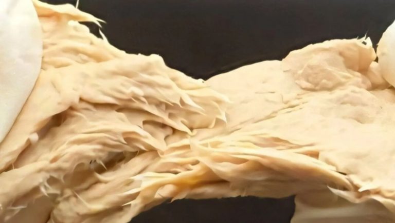 Huba Fusarium venenatum. Zdroj: Xiao Liu