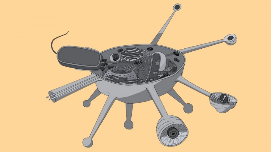 Podrobná vizualizácia Solarion arienae. Zdroj: Karlova univerzita v Prahe