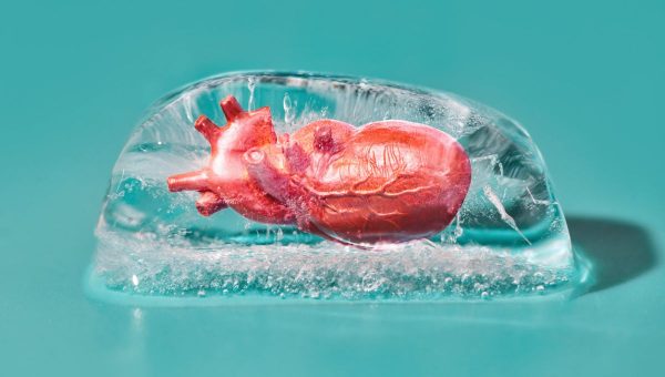 Zmrazené srdce. Zdroj: iStock/Ekaterina Chizhevskaya