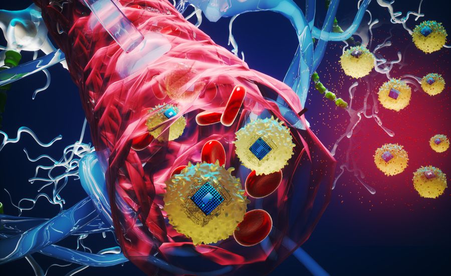 Nanočipy sú efektívne maskované živými bunkami, aby sa vyhli napadnutiu imunitným systémom tela a aby mohli bez problémov cestovať krvným obehom.