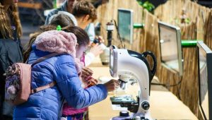 Týždeň vedy a techniky na Slovensku prináša aj tento rok zaujímavé aktivity pre verejnosť. Ilustračný obrázok.