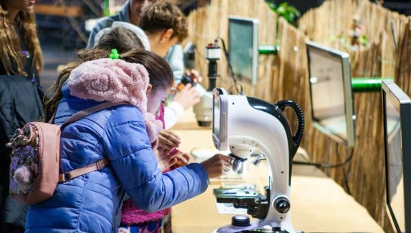 Týždeň vedy a techniky na Slovensku prináša aj tento rok zaujímavé aktivity pre verejnosť. Ilustračný obrázok.