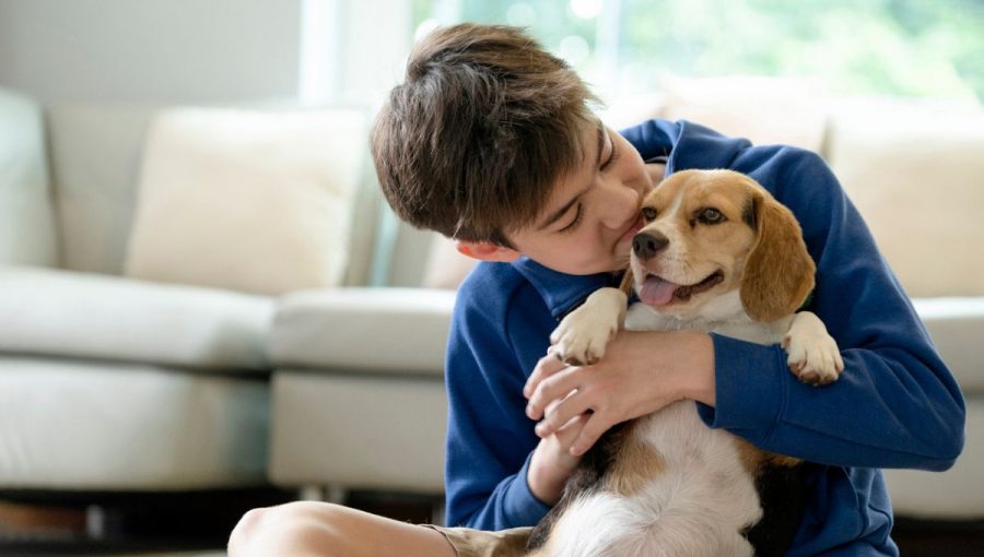 Problémy ako úzkosť, sociálna izolácia, agresívne správanie alebo znížená pozornosť sa u mladých ľudí, ktorí žijú v domácnosti so psom, vyskytovali menej často.