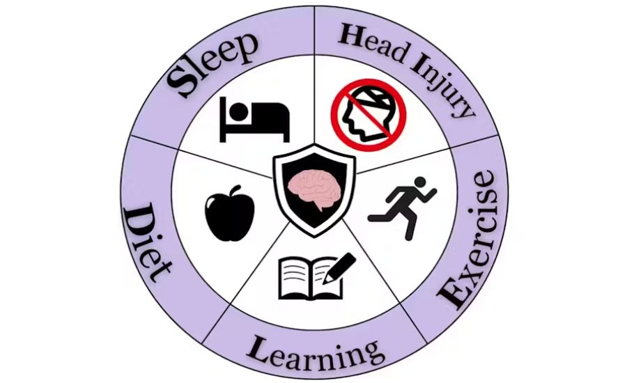 Model SHIELD.