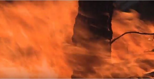 Ilustračné foto požiaru (Zdroj - video https://ec.europa.eu/echo/field-blogs/videos/fighting-forest-fires-italy-eu-solidarity-action_en)