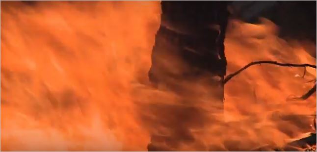 Ilustračné foto požiaru (Zdroj - video https://ec.europa.eu/echo/field-blogs/videos/fighting-forest-fires-italy-eu-solidarity-action_en)