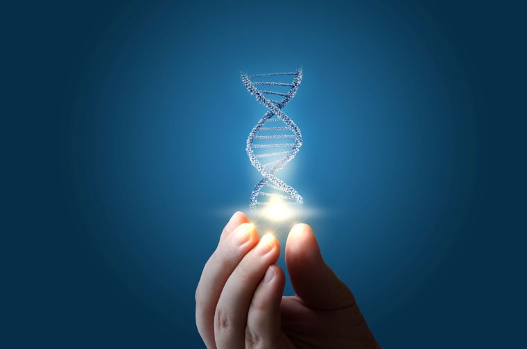 Ilustračné foto: Symbolicky zvnútra osvetlená DNA špirála, ktorú drží ľudská ruka. Zdroj: iStockphoto.com