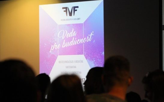 FVF 2017