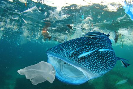 Svet zaplavuje plastový odpad