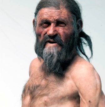 Rekonštrukcia podoby Ľadového muža, foto South Tyrol Museum of Archaeology