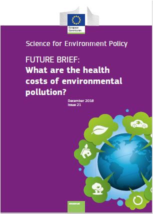 Obálka publikácie:What are the health costs of environmental pollution?