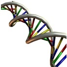 ilustračné foto /DNA/