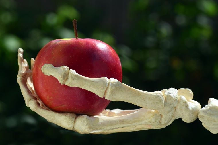 Ilustračná foto: Kostra ruky s jablkom. Zdroj: Pixabay.com