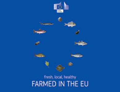 Ryby chované v EÚ: zdravá a čerstvá alternatíva z miestnych zdrojov