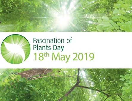 Deň fascinácie rastlinami 2019