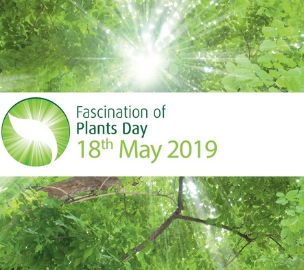 Deň fascinácie rastlinami 2019