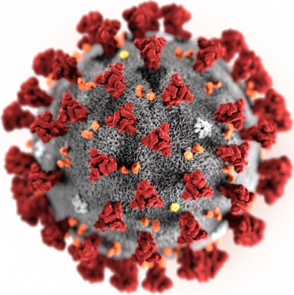 Ilustračný obrázok: Nový koronavírus 2019-nCoV. Zdroj: Wikipedia.org