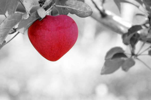 ilustračné foto (srdce / jablko)