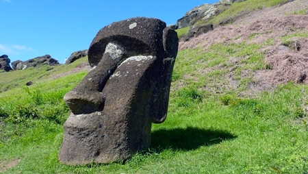 Niektoré moai zostali pohodené na vonkajších svahoch krátera Rano Raraku, v ktorom boli vytesané. Poukazuje to na pomerne náhly koniec ich kultu. Foto University of California – Santa Barbara
