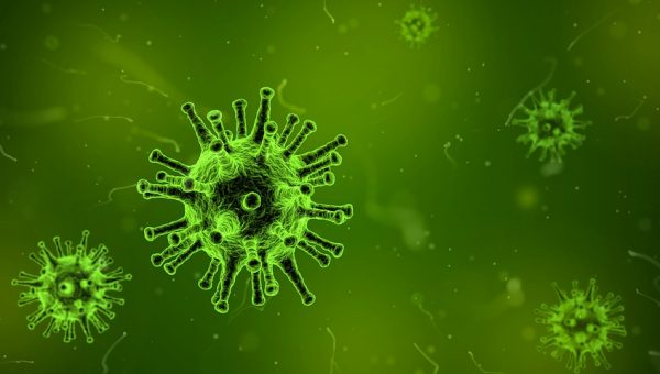 Ilustračný obrázok: vírus pod mikroskopom (Zdroj: Pixabay.com)