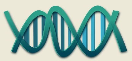 Ilustračné foto: DNA; Pixabay.com /Clker-Free-Vector-Images/
