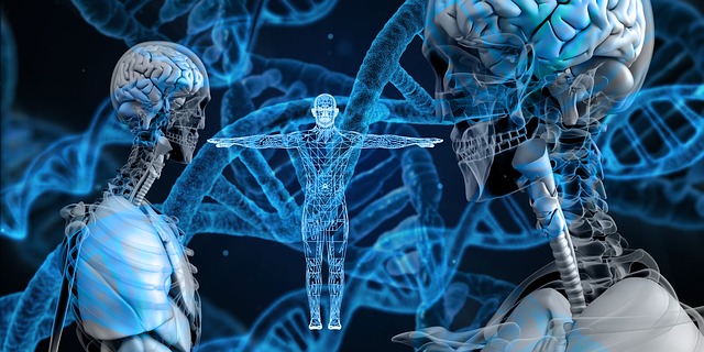 Ilustračné foto: genetika; DNA; Pixabay.com /geralt/
