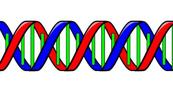 Ilustračné foto: genetický kód; Pixabay.com /Clker-Free-Vector-Images/