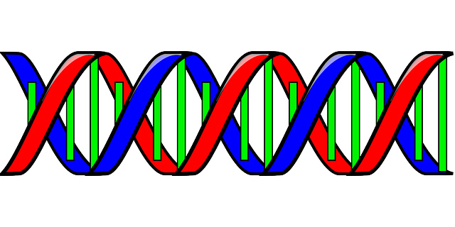 Ilustračné foto: genetický kód; Pixabay.com /Clker-Free-Vector-Images/