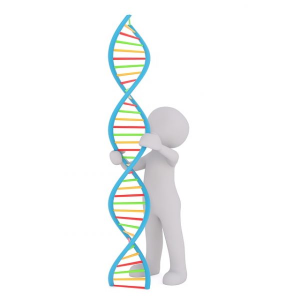 ilustračné foto / uchopenie DNA